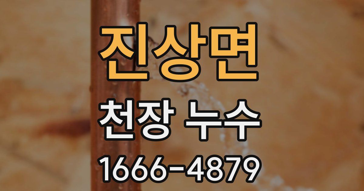 진상면 천장 누수