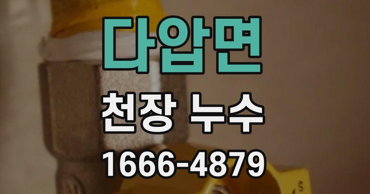 다압면 천장 누수