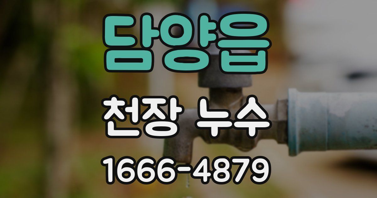 담양읍 천장 누수