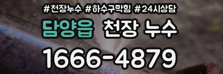 담양읍 천장 누수