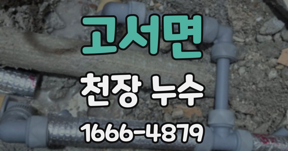 고서면 천장 누수