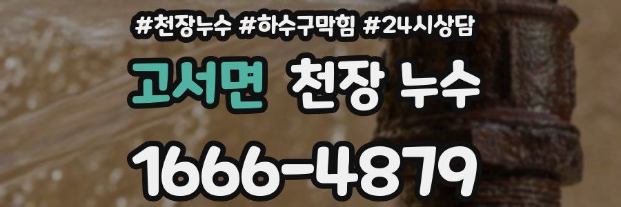 고서면 천장 누수