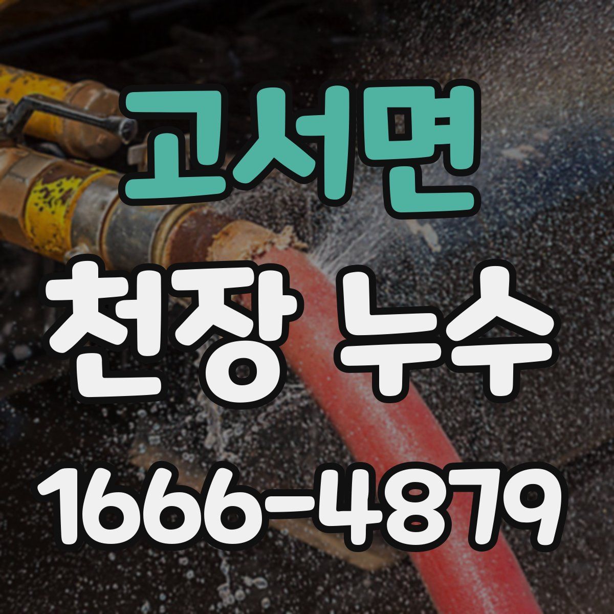 고서면 천장 누수