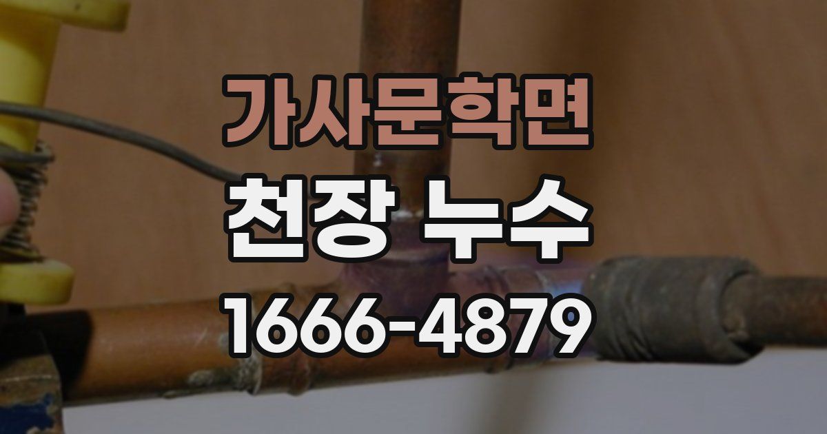 가사문학면 천장 누수