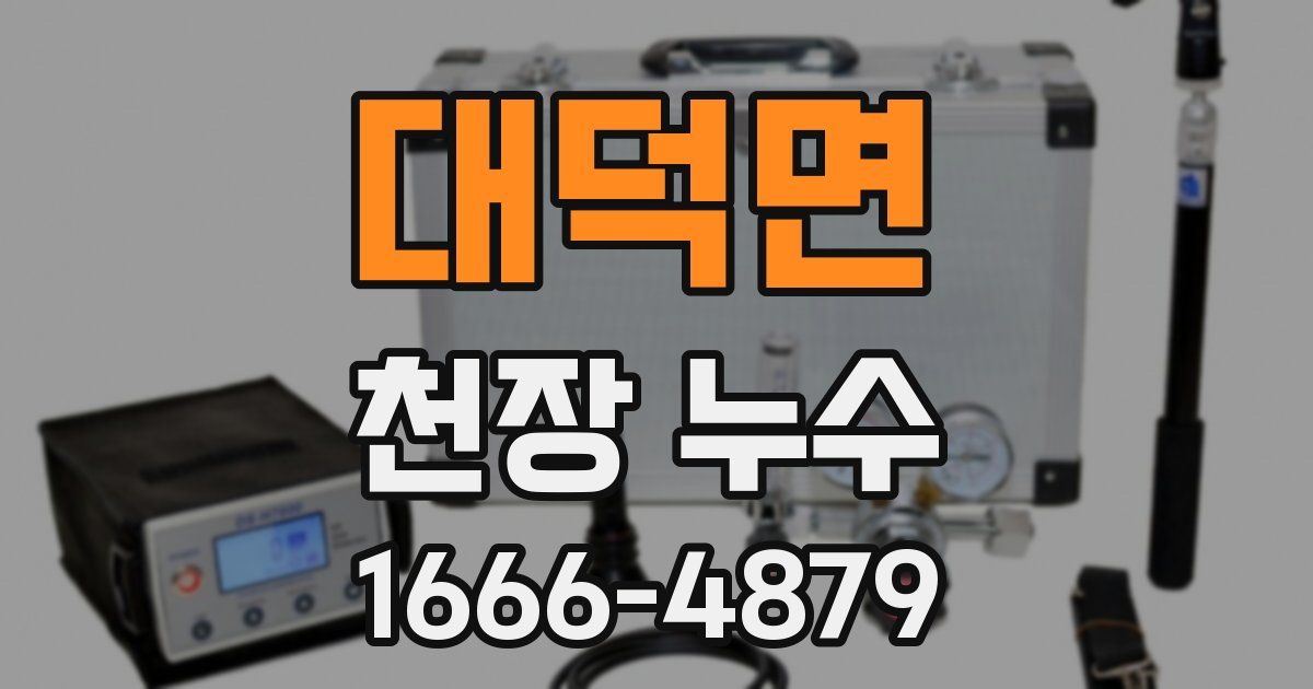 대덕면 천장 누수