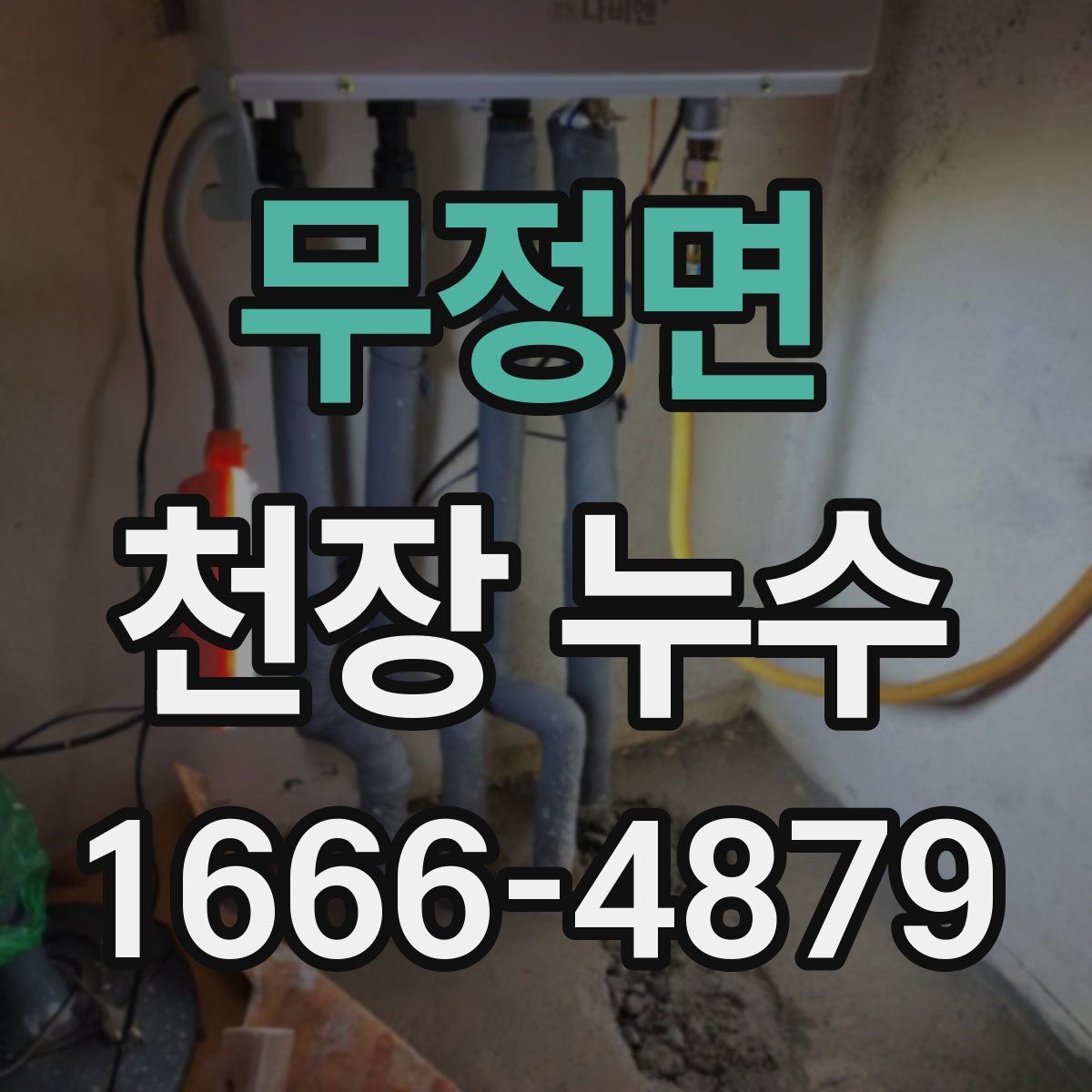 무정면 천장 누수