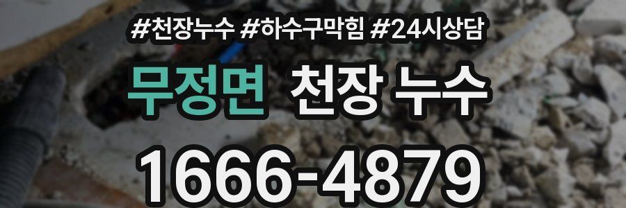 무정면 천장 누수