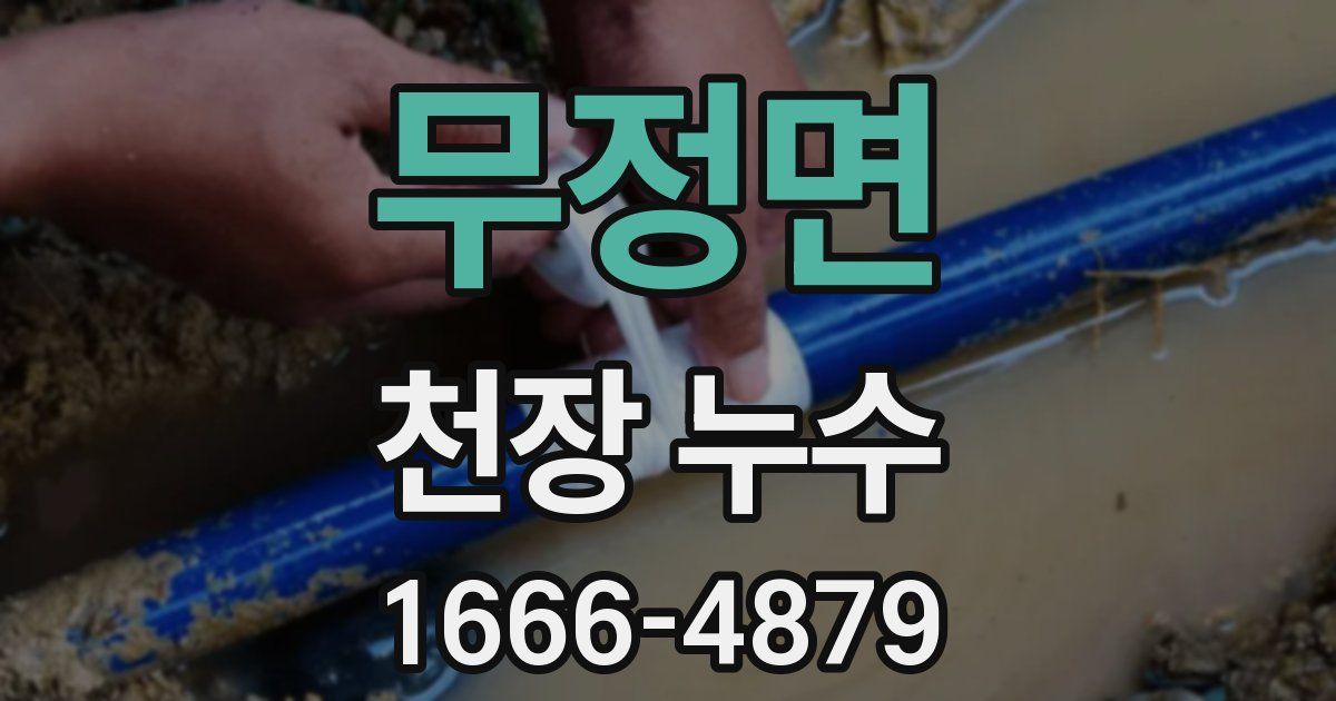 무정면 천장 누수