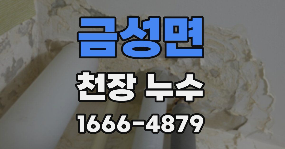 금성면 천장 누수