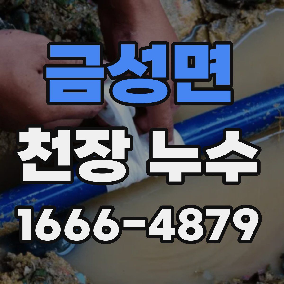 금성면 천장 누수