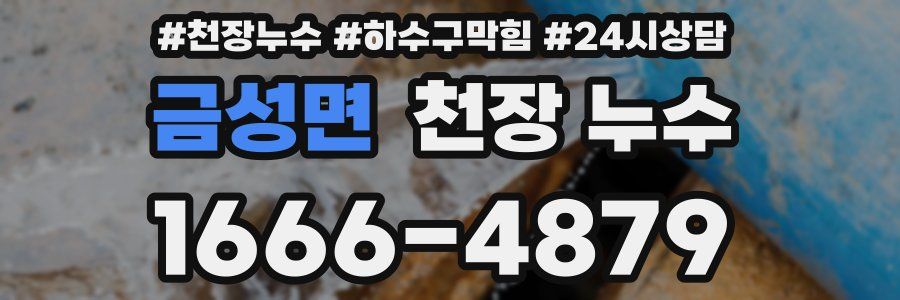 금성면 천장 누수