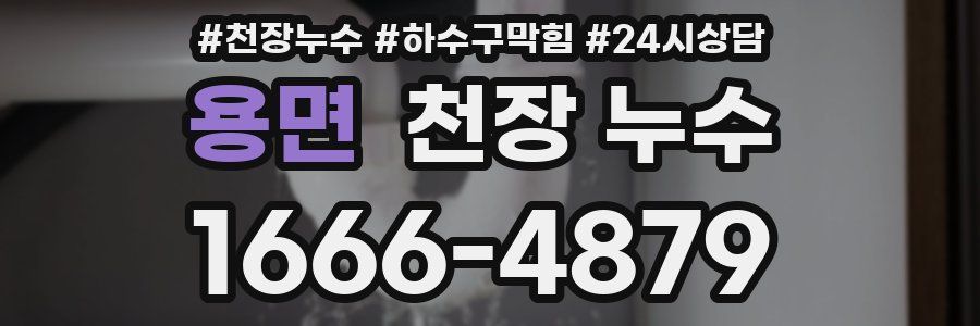 용면 천장 누수