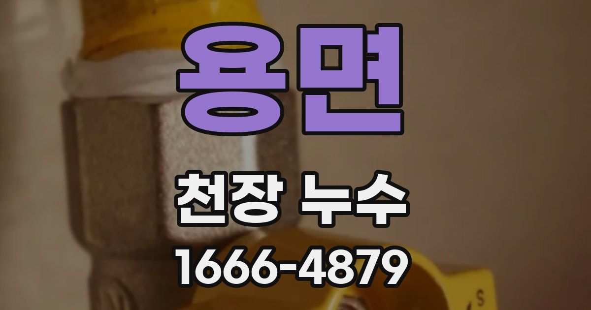 용면 천장 누수