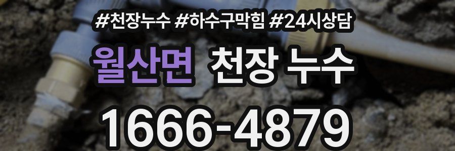 월산면 천장 누수