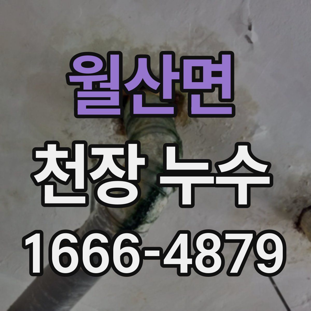 월산면 천장 누수