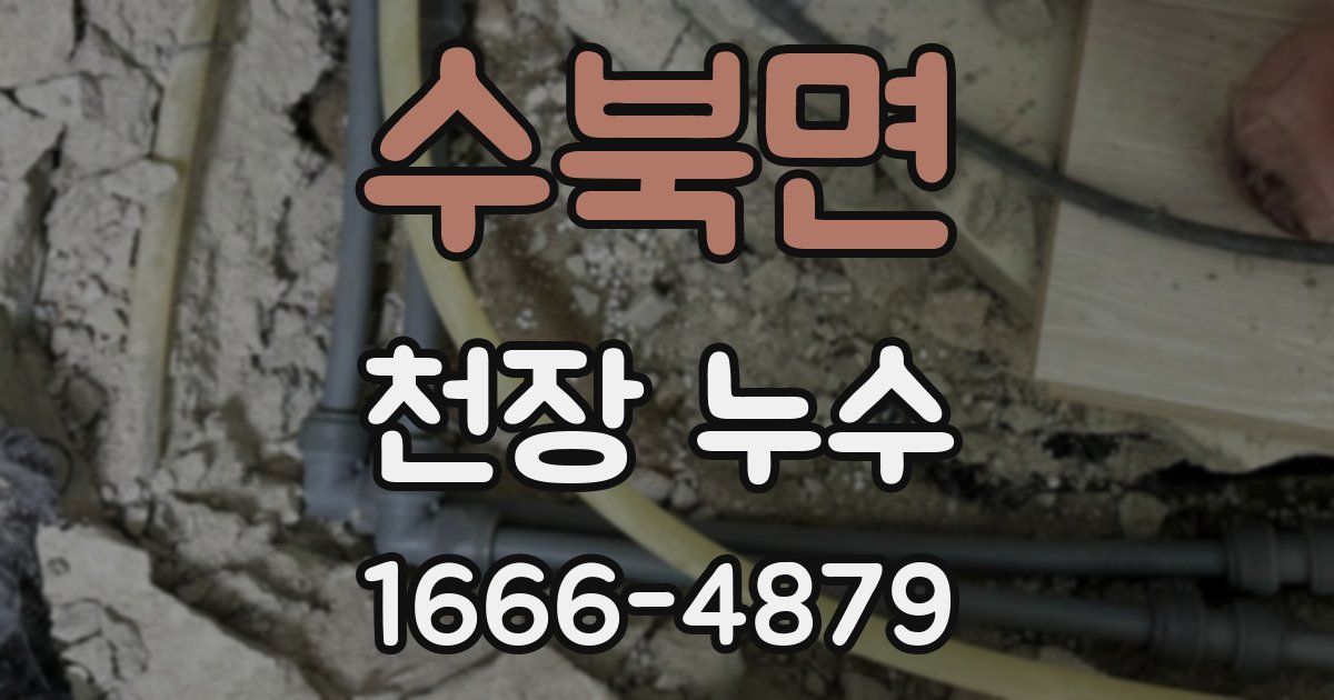 수북면 천장 누수