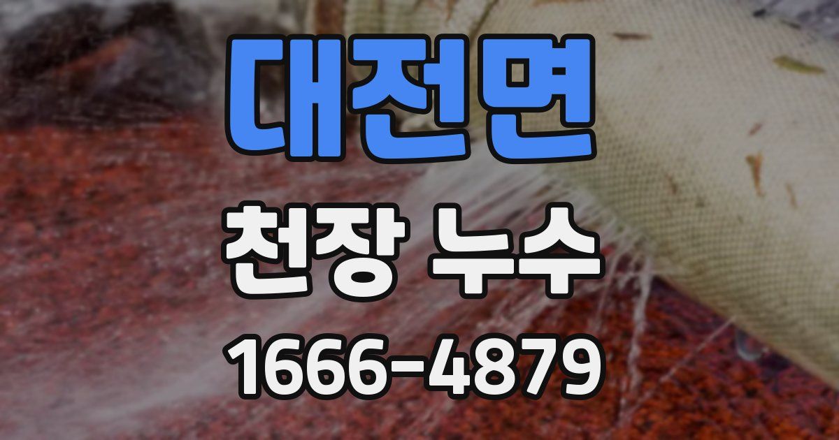 대전면 천장 누수