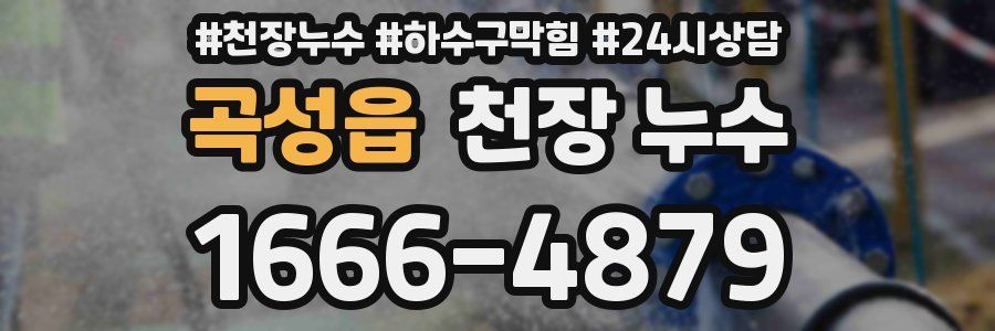 곡성읍 천장 누수