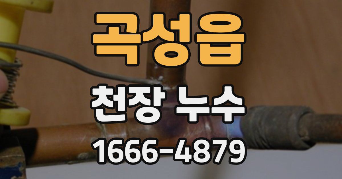 곡성읍 천장 누수