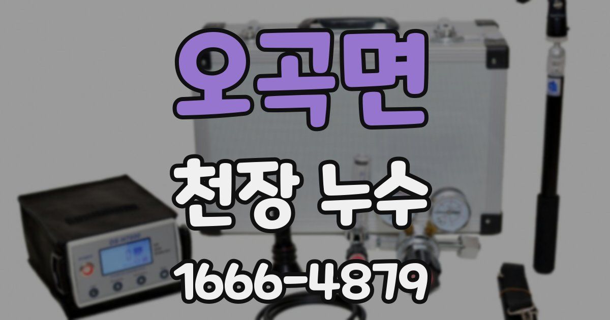오곡면 천장 누수