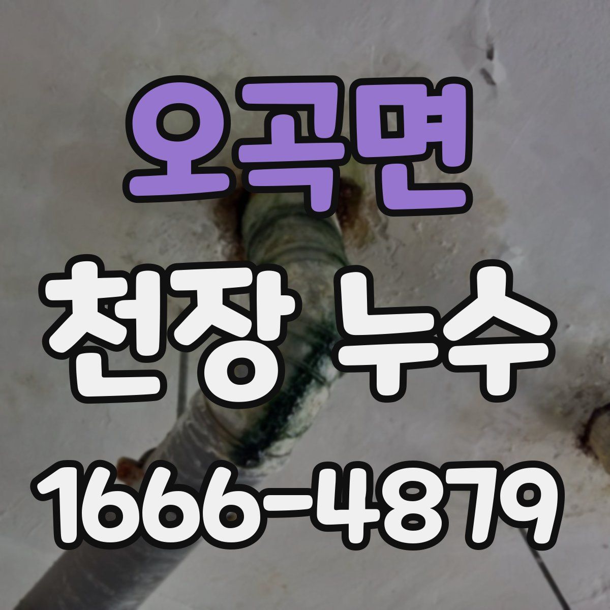 오곡면 천장 누수