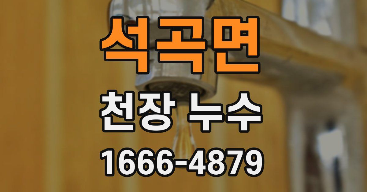 석곡면 천장 누수