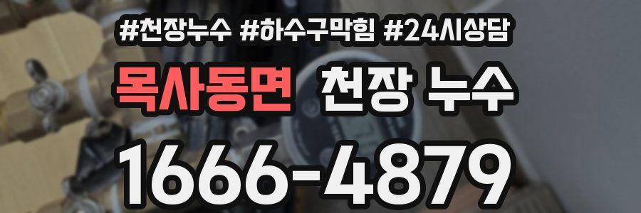 목사동면 천장 누수