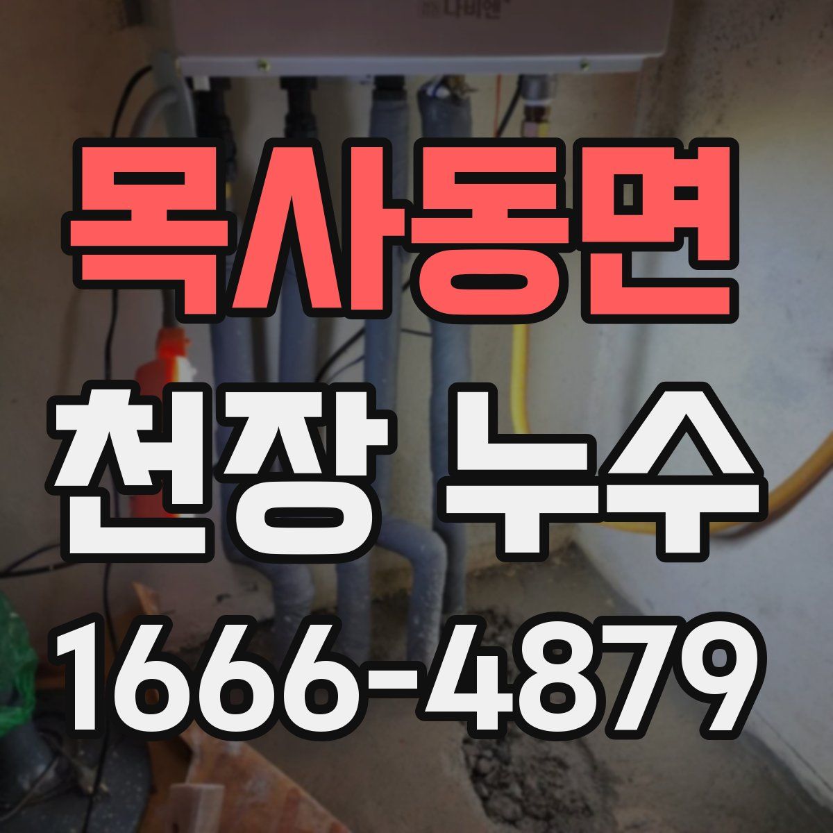 목사동면 천장 누수