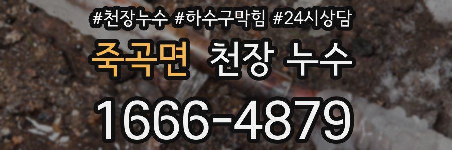 죽곡면 천장 누수