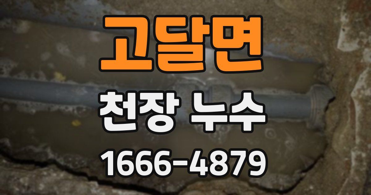 고달면 천장 누수