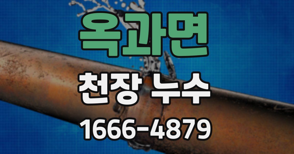 옥과면 천장 누수
