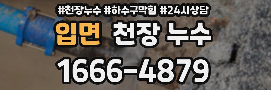 입면 천장 누수