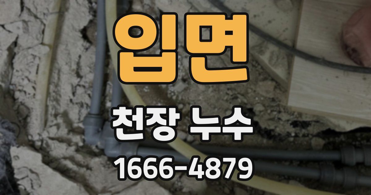 입면 천장 누수