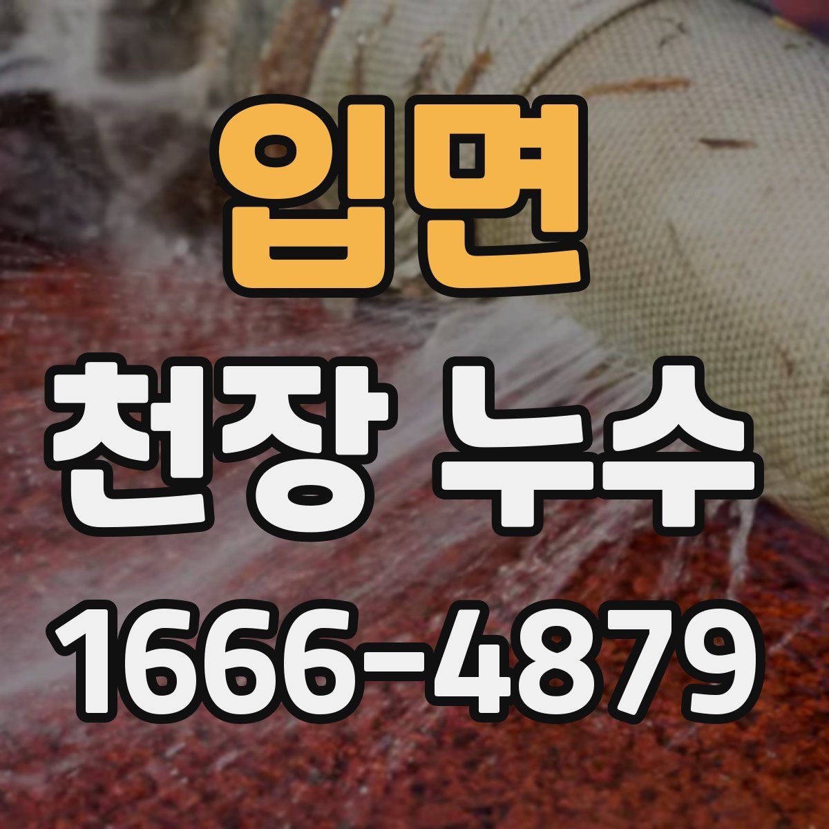 입면 천장 누수