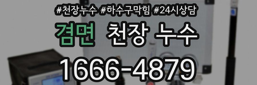 겸면 천장 누수