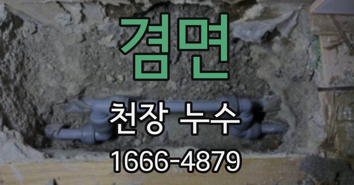 겸면 천장 누수