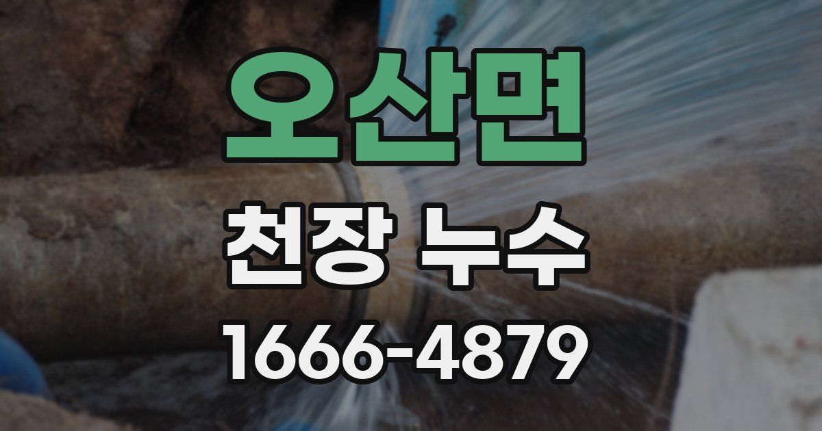 오산면 천장 누수