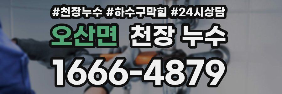 오산면 천장 누수