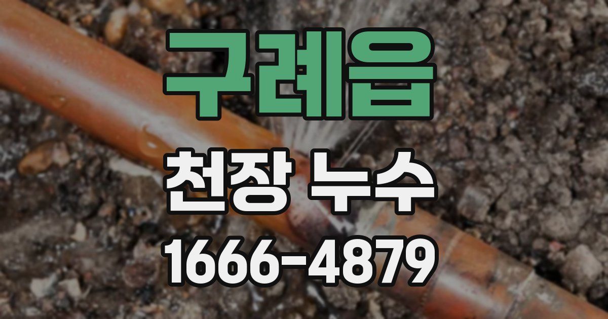구례읍 천장 누수