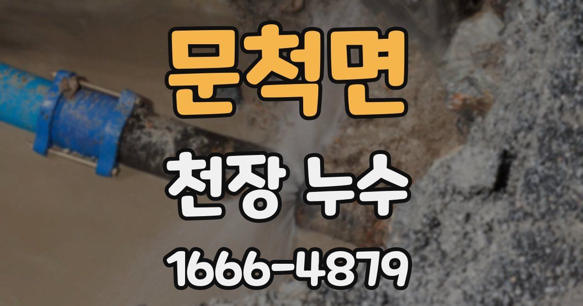 문척면 천장 누수