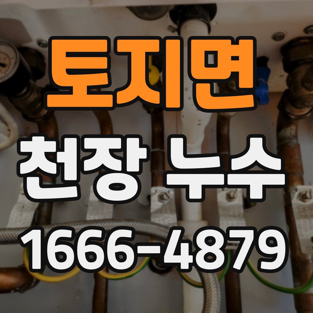 토지면 천장 누수