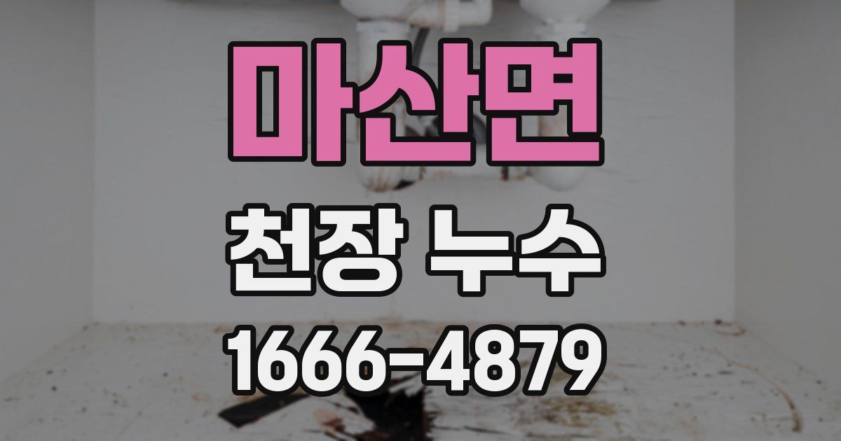 마산면 천장 누수