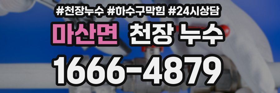 마산면 천장 누수