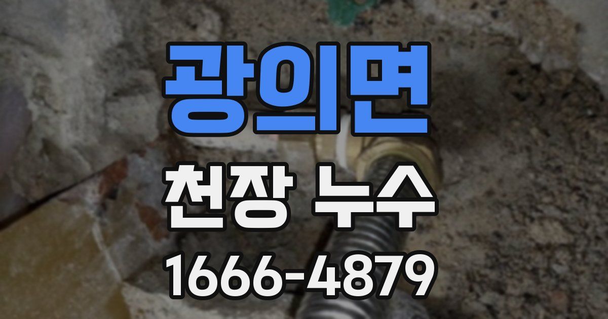 광의면 천장 누수