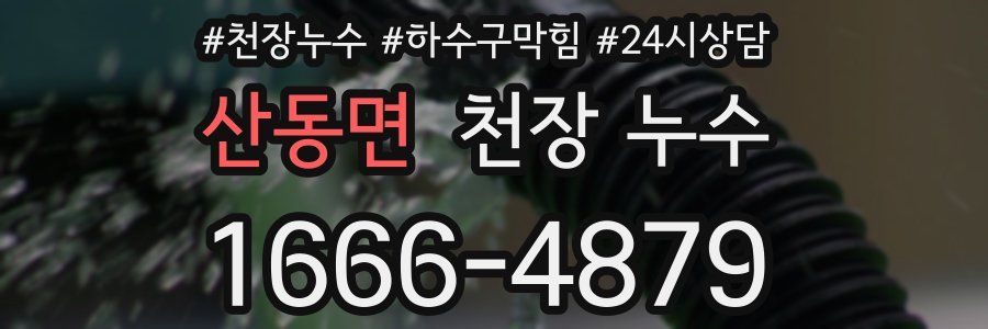 산동면 천장 누수