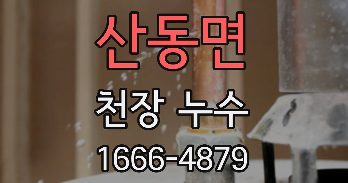 산동면 천장 누수