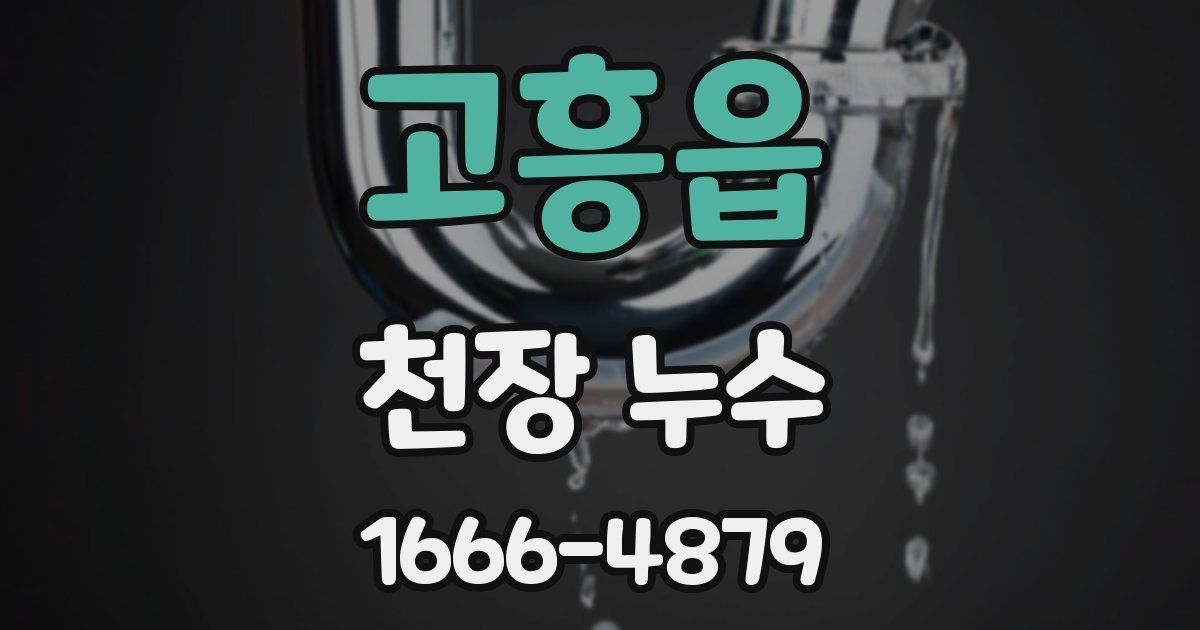 고흥읍 천장 누수