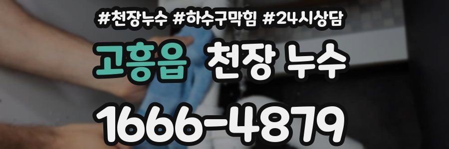 고흥읍 천장 누수