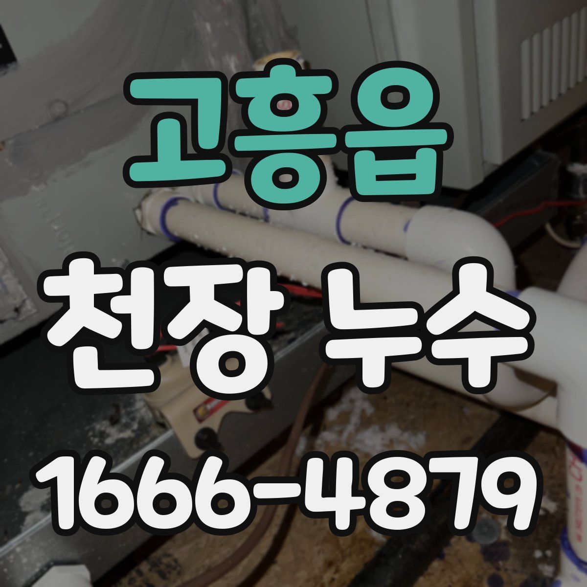 고흥읍 천장 누수