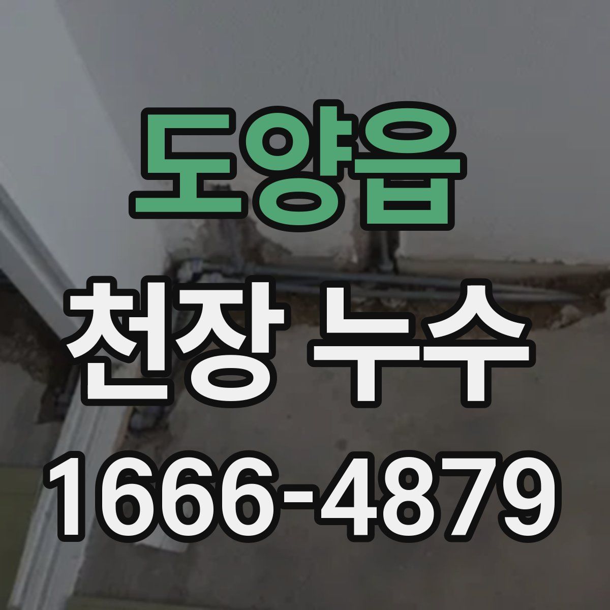 도양읍 천장 누수